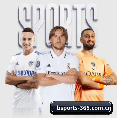 五大服务分区,信息按项目分类（bsport）